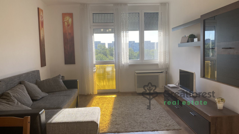Debrecen, Close To Main Campus, flat  