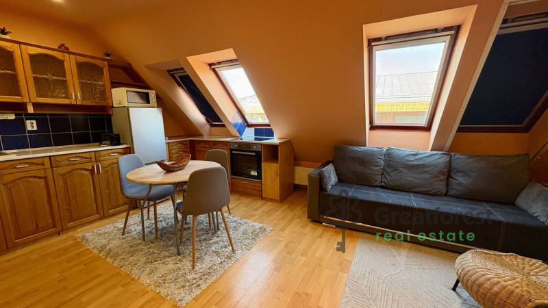 Debrecen, City Center, flat  