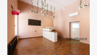 Debrecen, City Center, commercial premises not in shopping center  