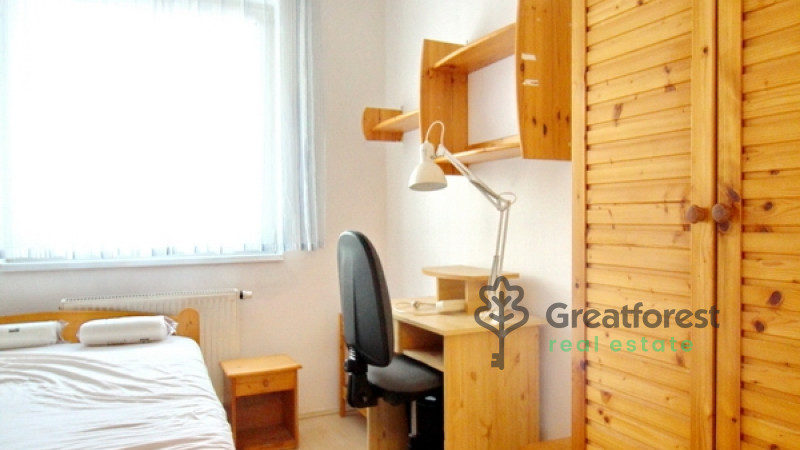 Debrecen, Close To Main Campus, flat  