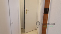 Debrecen, Greatforest Area, flat  