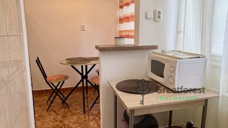 Debrecen, Close To Main Campus, flat  