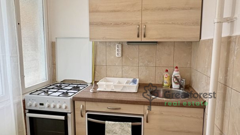Debrecen, Close To Main Campus, flat  