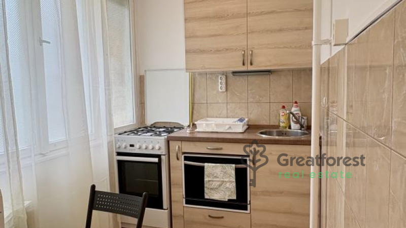 Debrecen, Close To Main Campus, flat  