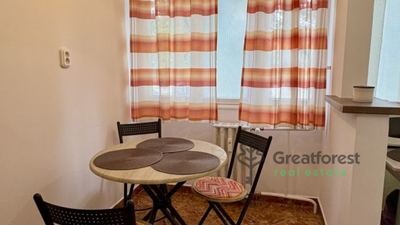 Debrecen, Close To Main Campus, flat  