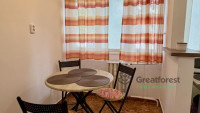 Debrecen, Close To Main Campus, flat  