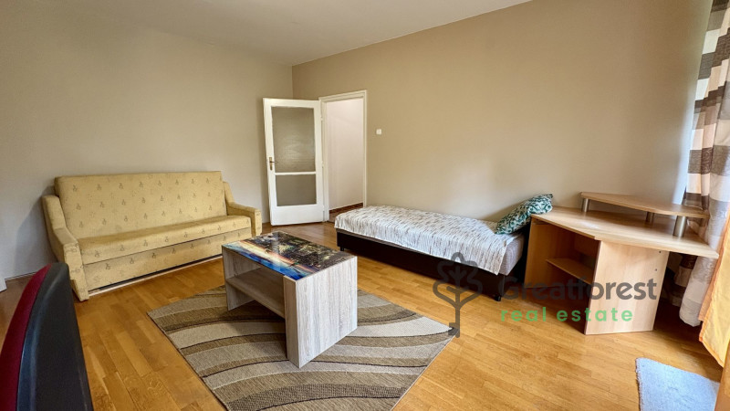 Debrecen, Close To Main Campus, flat  