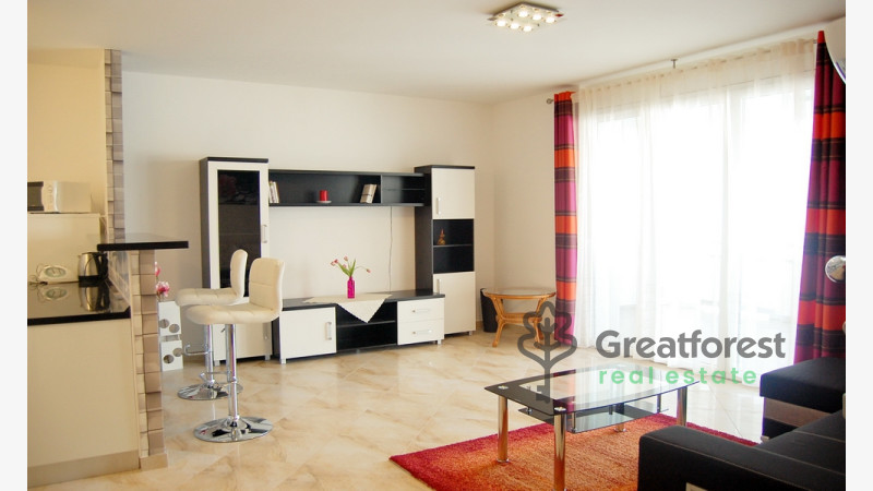 Debrecen, Close To Plaza, flat  