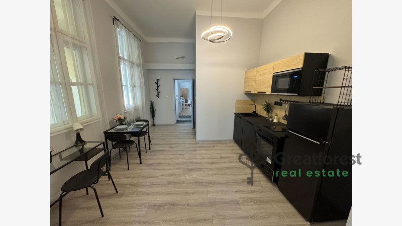 Debrecen, Close To Plaza, flat  