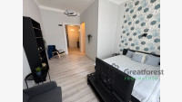 Debrecen, Close To Plaza, flat  