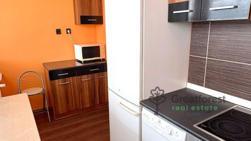 Debrecen, Close To Main Campus, flat  