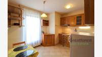 Debrecen, Bem Square, flat  