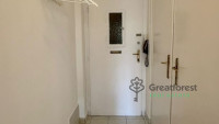 Debrecen, Greatforest Area, flat  