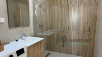 Debrecen, City Center, flat  