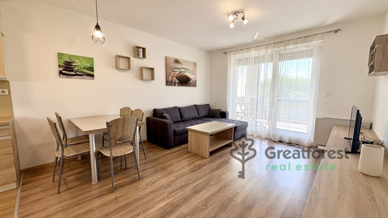 Debrecen, Close To Main Campus, flat  