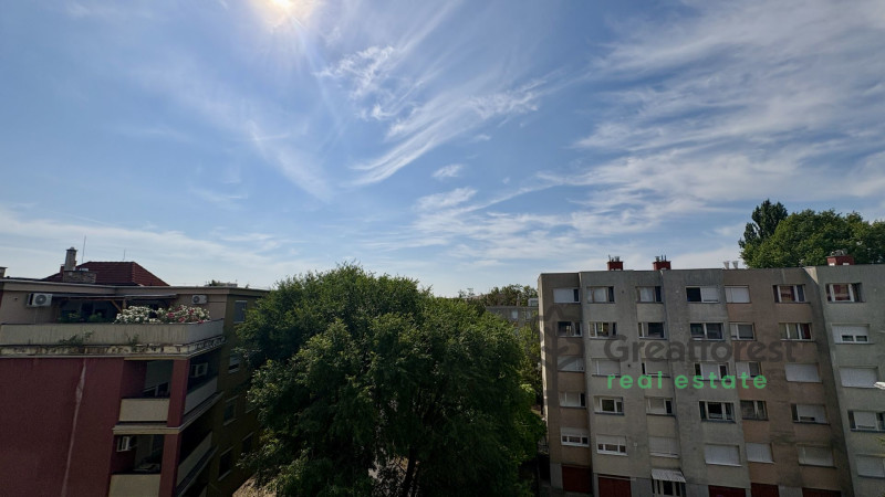 Debrecen, Close To Main Campus, flat  