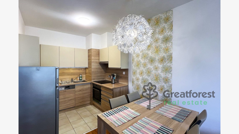 Debrecen, Close To Main Campus, flat  