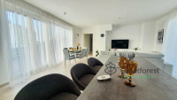 Debrecen, Close To Main Campus, flat  
