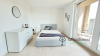 Debrecen, Close To Main Campus, flat  