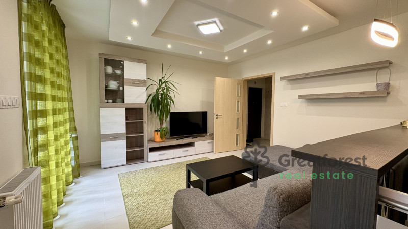 Debrecen, City Center, flat  