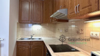 Debrecen, City Center, flat  