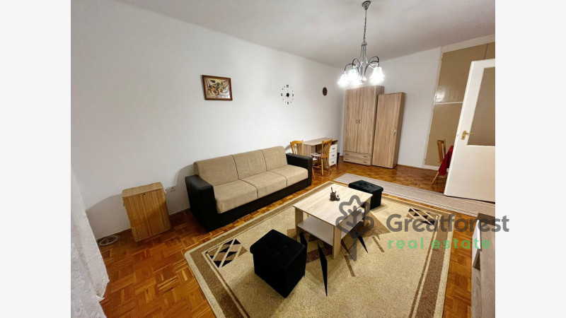 Debrecen, Close To Main Campus, flat  