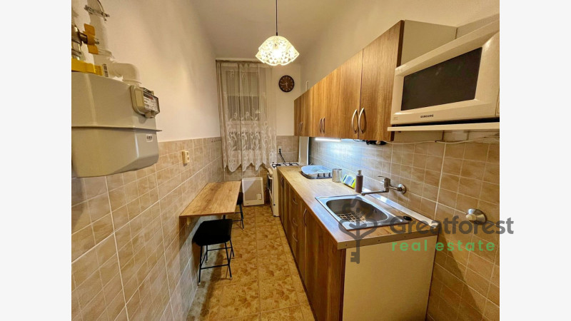 Debrecen, Close To Main Campus, flat  