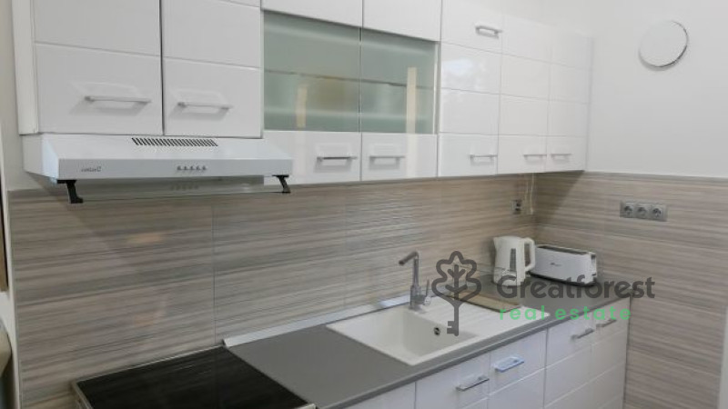 Debrecen, Close To Main Campus, flat  