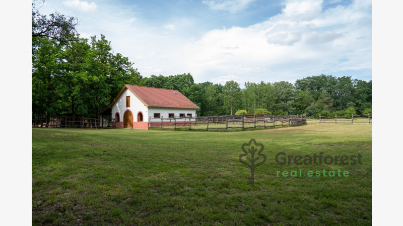 Debrecen, Haláp, family house  