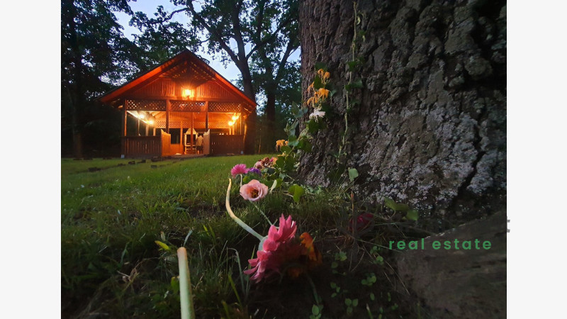 Debrecen, Haláp, family house  