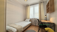 Debrecen, Close To Main Campus, flat  