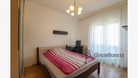 Debrecen, City Center, flat  