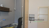 Debrecen, City Center, flat  