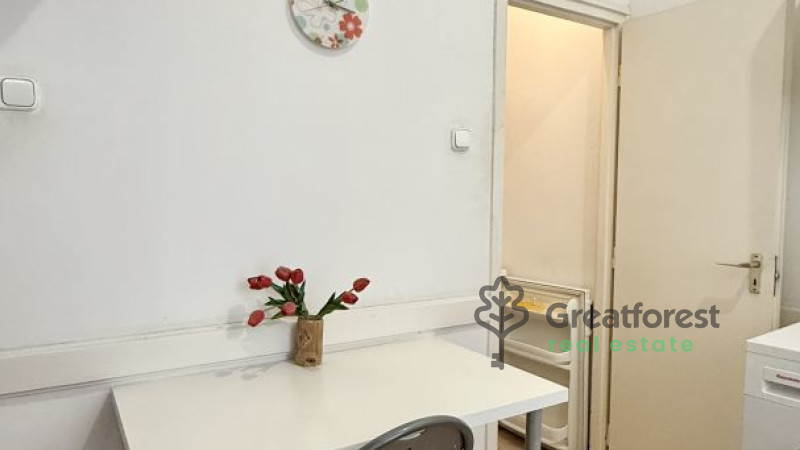 Debrecen, City Center, flat  