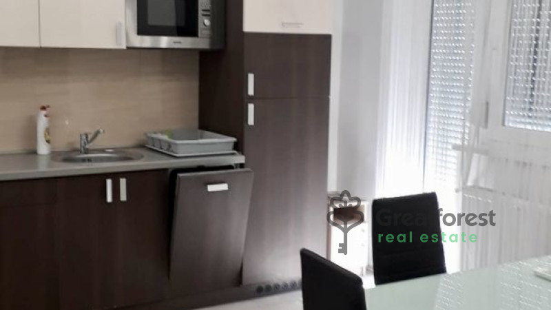 Debrecen, Close To Main Campus, flat  