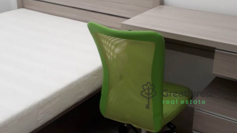 Debrecen, Close To Main Campus, flat  