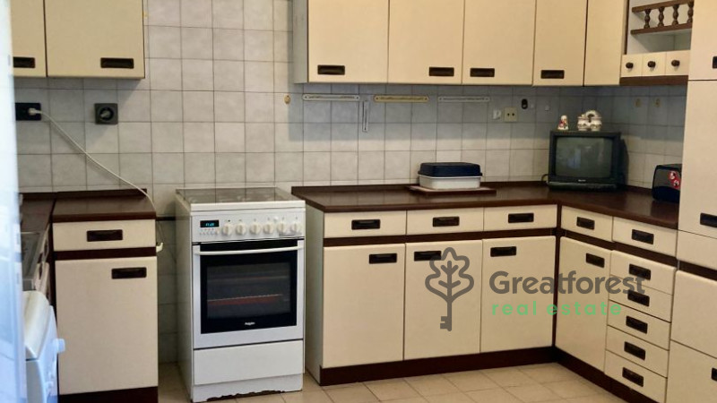 Debrecen, Greatforest Area, family house  