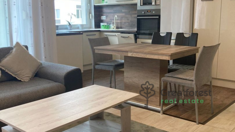 Debrecen, Close To Plaza, flat  