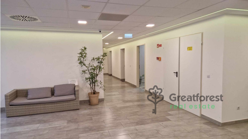 Debrecen, City Center, office not in office building  