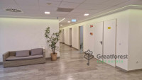 Debrecen, City Center, office not in office building  