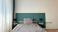 Debrecen, City Center, flat  