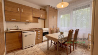 Debrecen, Close To Kassai Campus, flat  