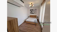 Debrecen, City Center, flat  