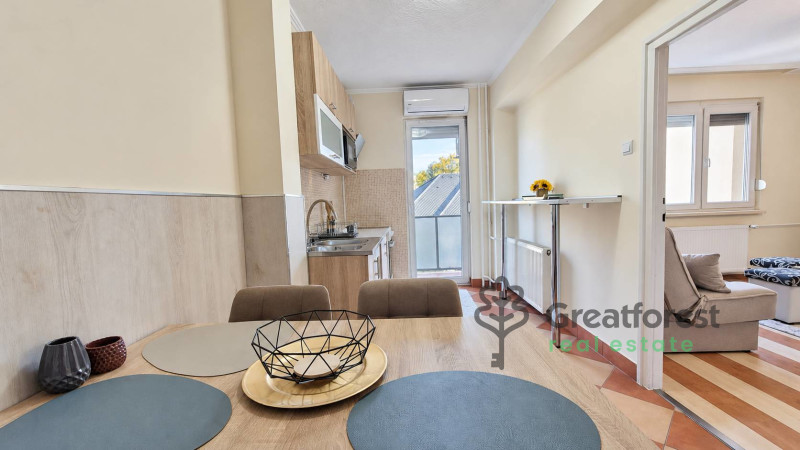 Debrecen, Main Campus Area, flat  