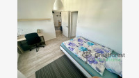 Debrecen, Close To Main Campus, flat  