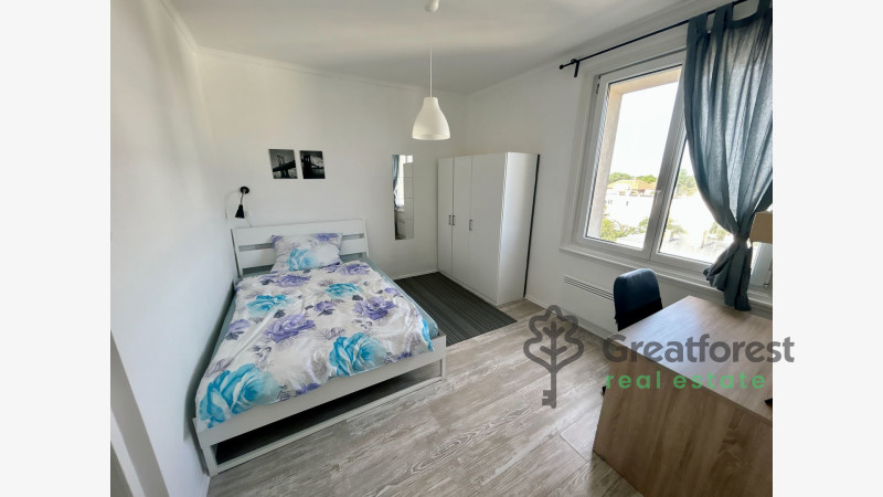 Debrecen, Close To Main Campus, flat  