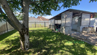 Debrecen, City South-East, family house  