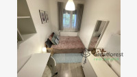 Debrecen, Close To Main Campus, flat  