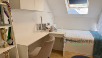 Debrecen, City Center, flat  