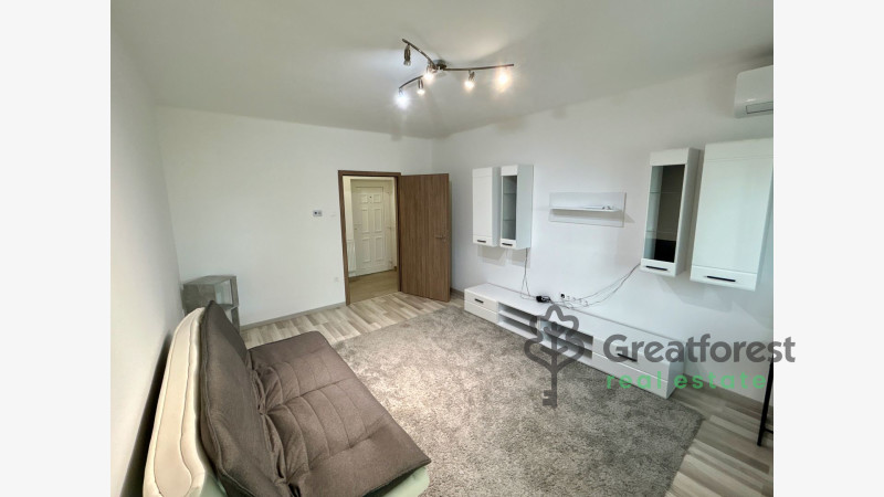 Debrecen, Close To Main Campus, flat  